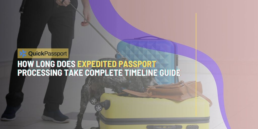 expedited passport processing time